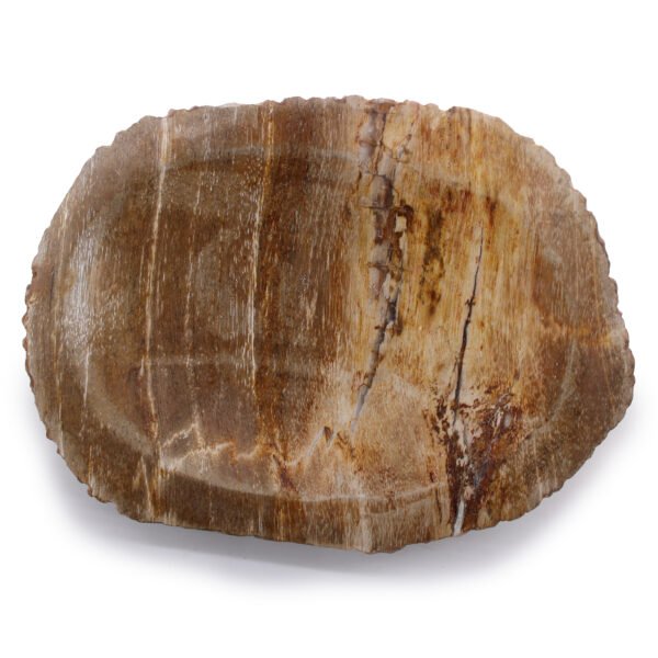 Porte-savon Marron en Bois Pétrifié - Image 3